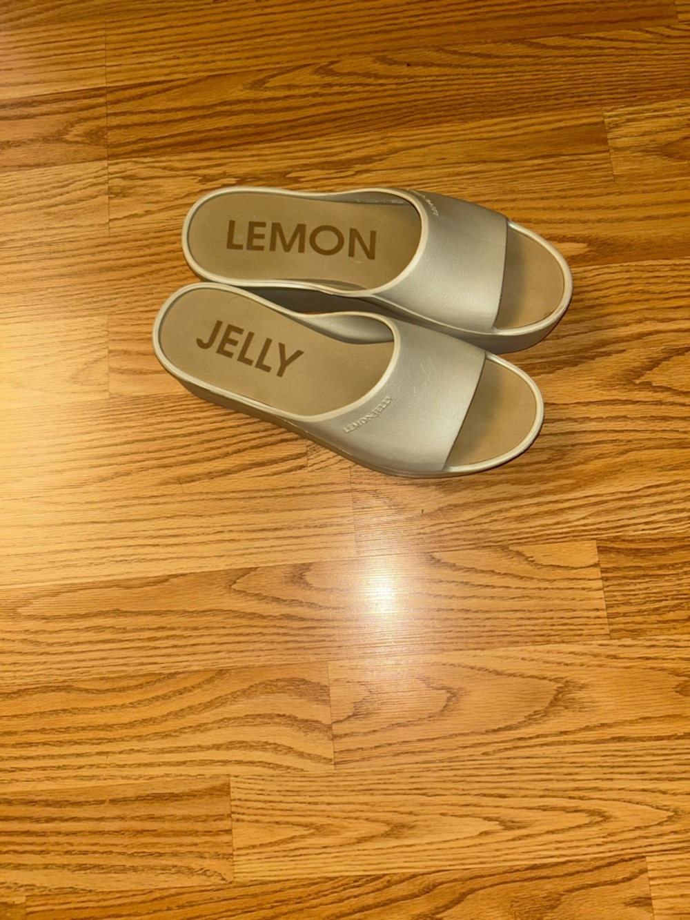 LEMON JELLY Women’sSunny 05 Champagne Silver Platform Slides Sandals Size EU 39